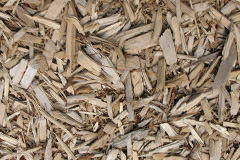 biomass boilers Ludney