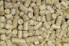 Ludney biomass boiler costs